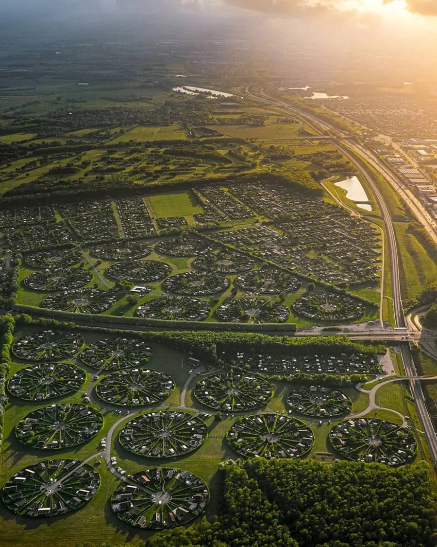 An organic web of roots spreading beneath the city